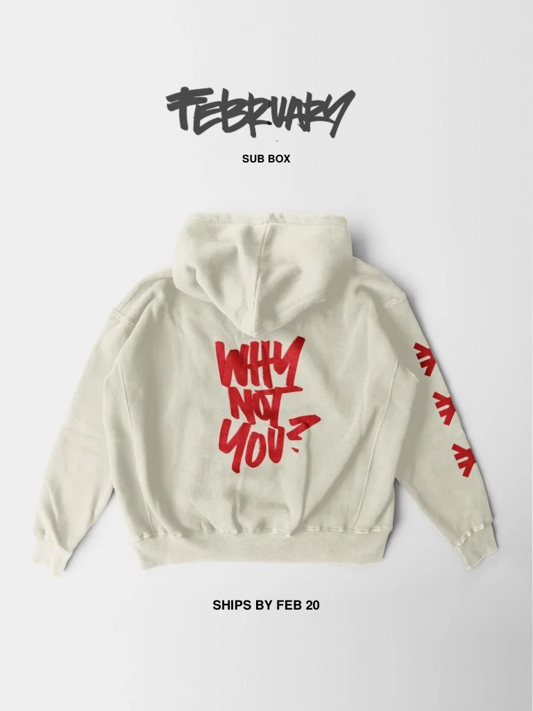 Cream-colored hoodie laid flat on a white background. Back of the hoodie features red handwritten-style text reading ‘Why not you?’ with red Pseudo Force symbols printed down the sleeve. Text above the image reads ‘February Sub Box’ and text below reads ‘Ships by Feb 20.